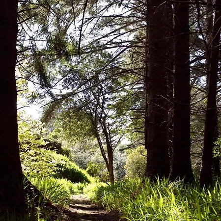 Currarevagh House Гостевой дом Утерард