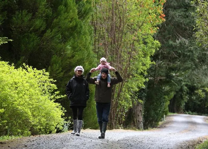 Gasthuis Currarevagh House Oughterard